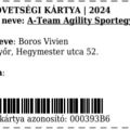 Szövetségi kártya 2024