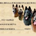 HBJK Klubtagsági 2024