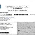 2025 MEOESZ