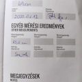 Zizi mérési lapja